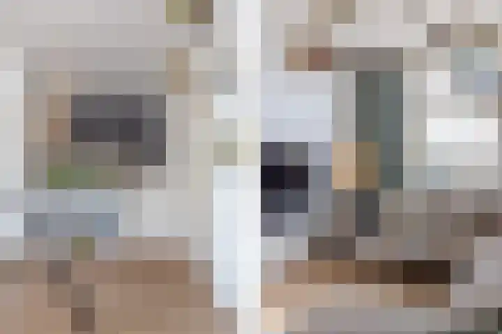 Kerkstraat 21 Helvoirt thumbnail 7