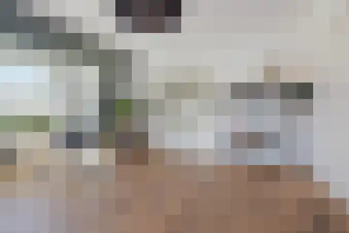 Kerkstraat 21 Helvoirt thumbnail 9