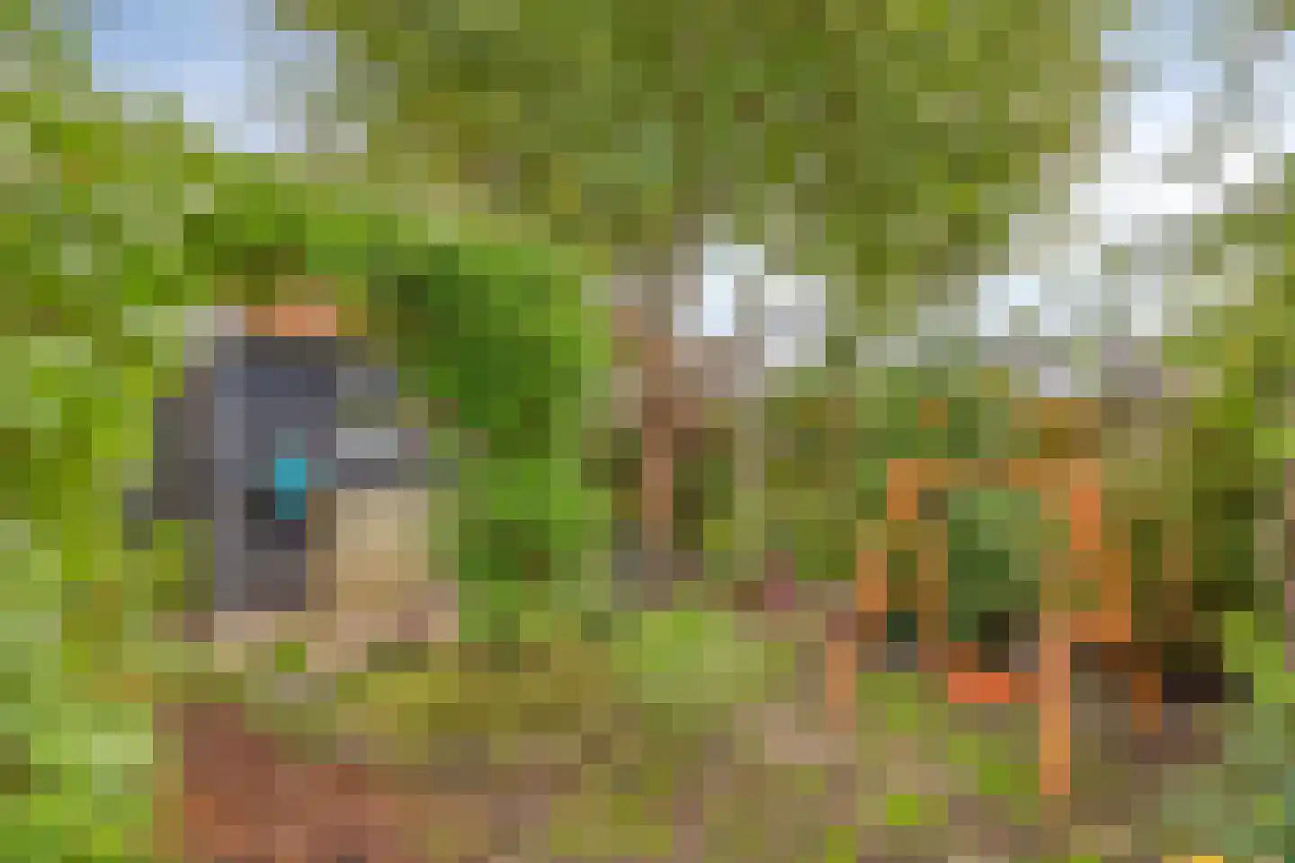 Kerkstraat 21 Kats thumbnail 24