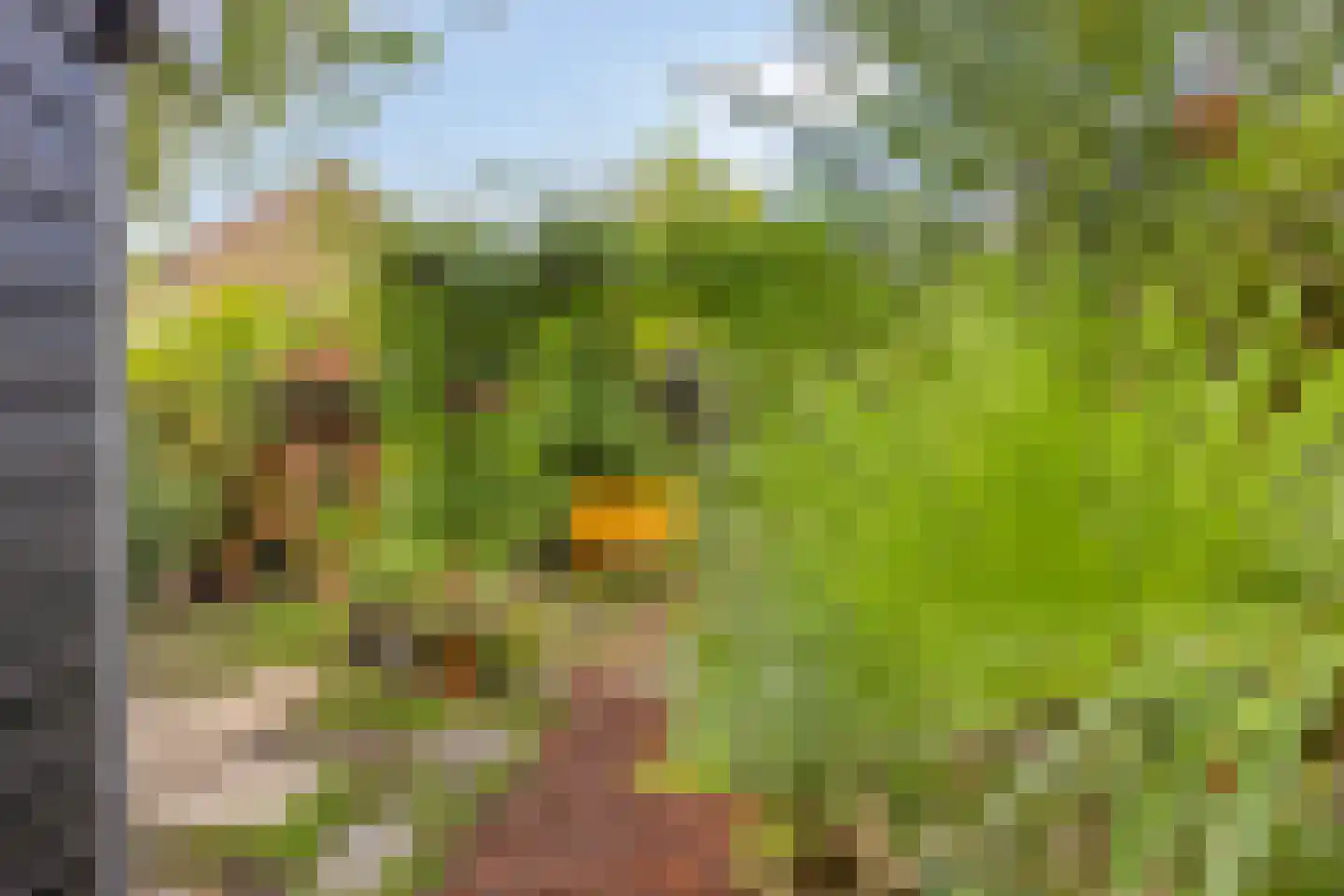 Kerkstraat 21 Kats thumbnail 25