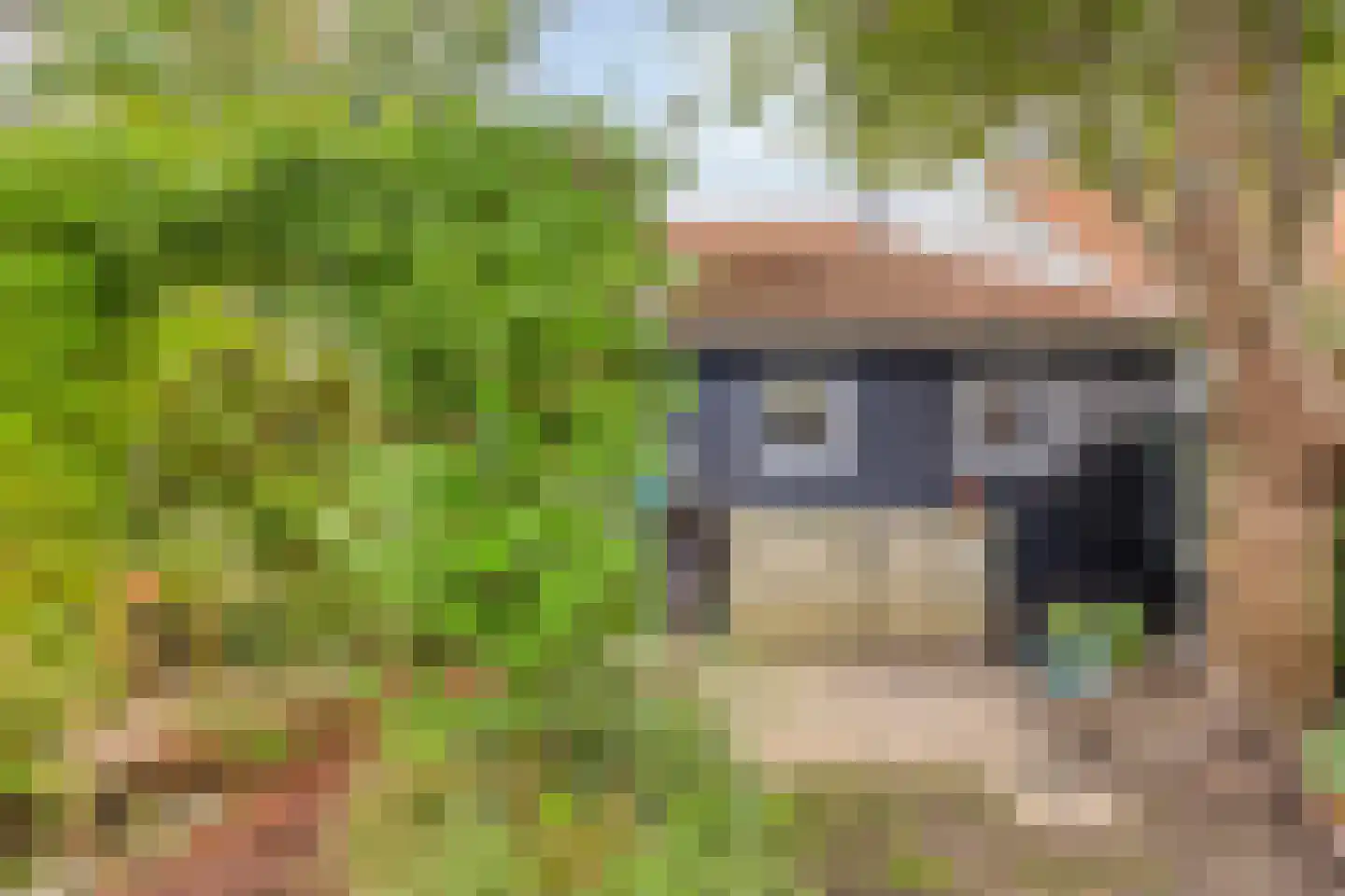 Kerkstraat 21 Kats thumbnail 26