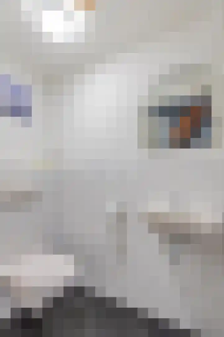 Kerkstraat 21 Lathum thumbnail 13