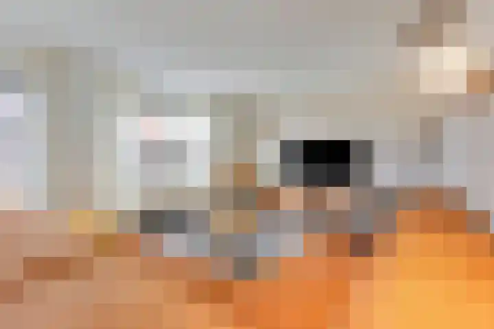 Kerkstraat 21 Lathum thumbnail 18