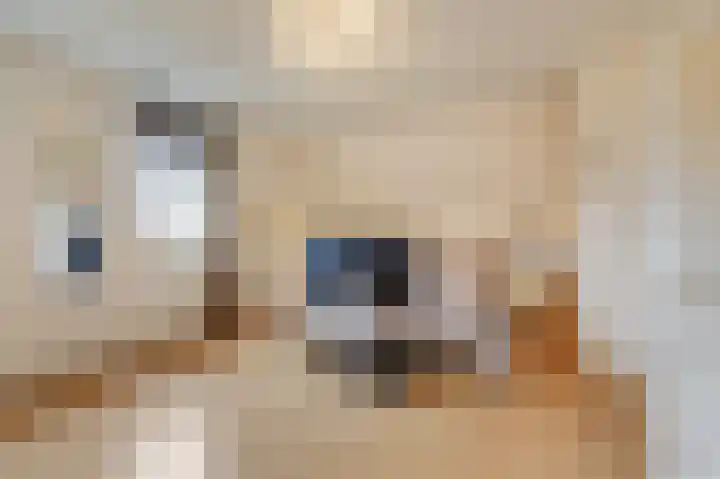Kerkstraat 21 Lathum thumbnail 27
