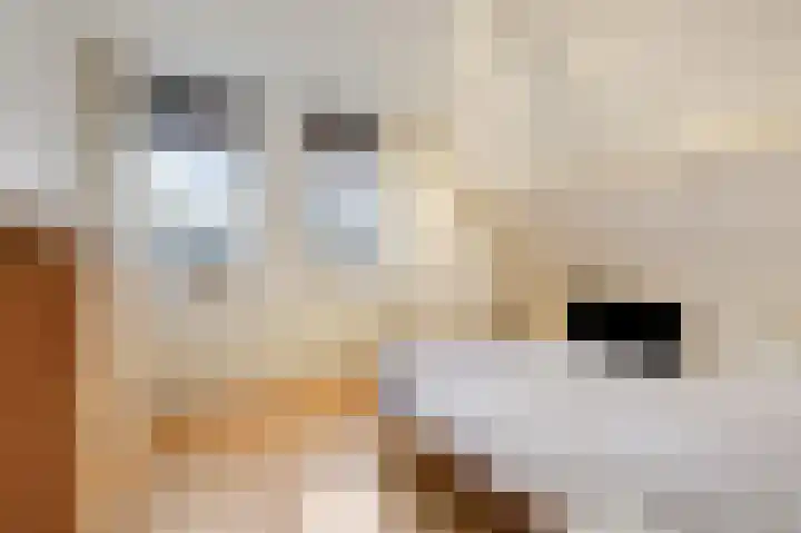 Kerkstraat 21 Lathum thumbnail 29
