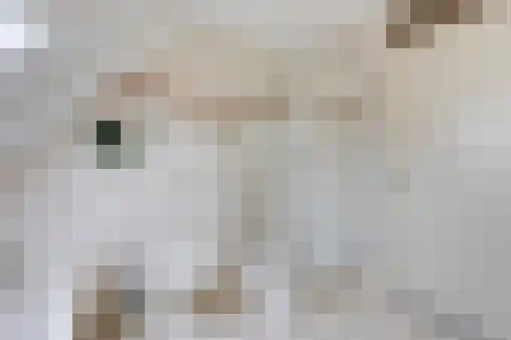 Kerkstraat 21 Lathum thumbnail 34