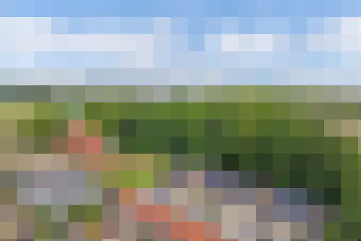 Kerkstraat 21 Luttelgeest thumbnail 14