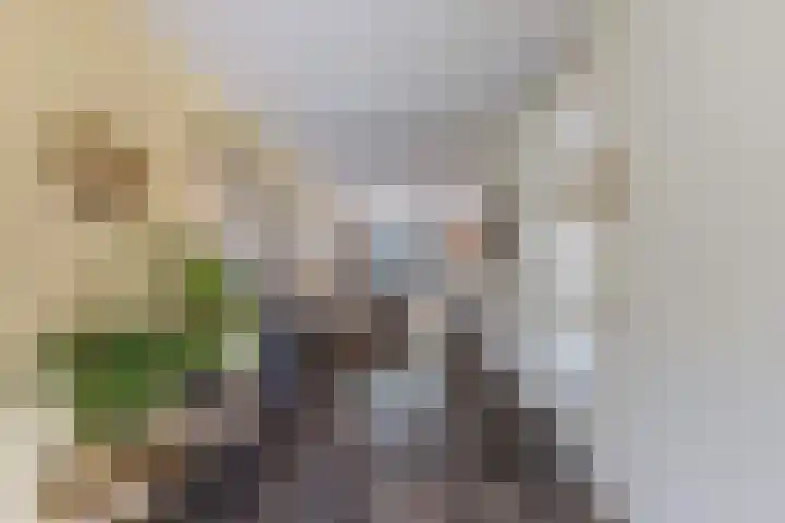 Kerkstraat 21 Luttelgeest thumbnail 25