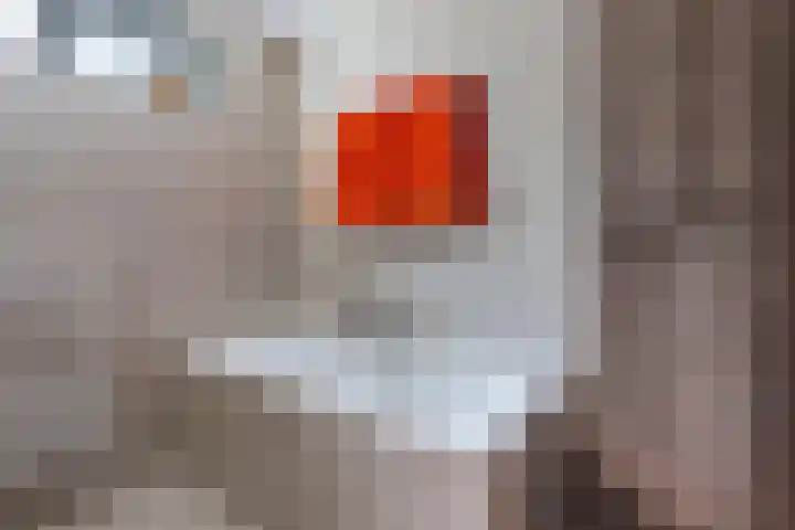 Kerkstraat 21 Luttelgeest thumbnail 43