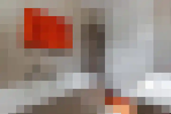 Kerkstraat 21 Luttelgeest thumbnail 44