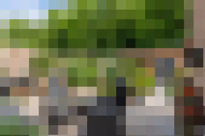 Kerkstraat 21 Luttelgeest thumbnail 45