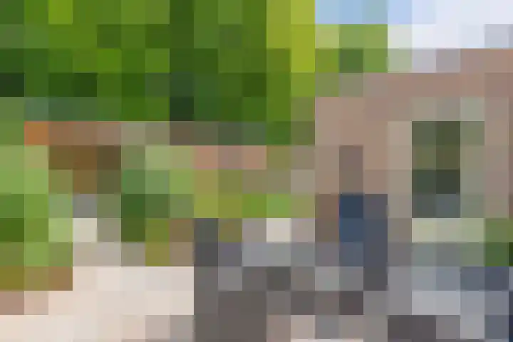 Kerkstraat 21 Luttelgeest thumbnail 46