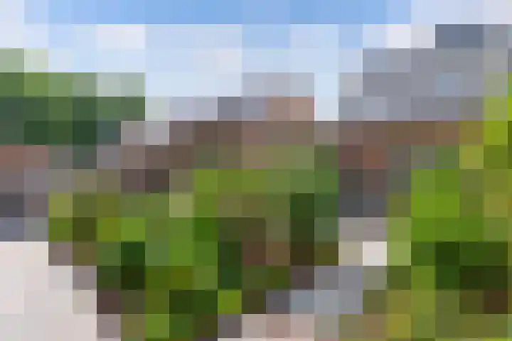 Kerkstraat 21 Luttelgeest thumbnail 50