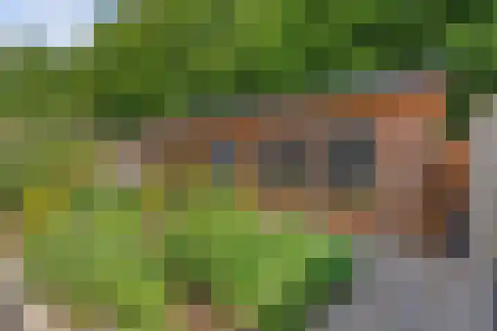 Kerkstraat 21 Luttelgeest thumbnail 51