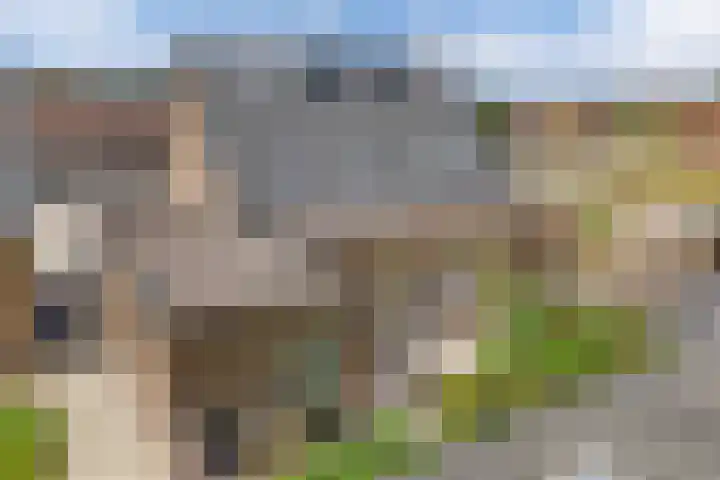 Kerkstraat 21 Luttelgeest thumbnail 54