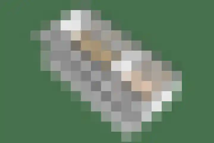 Kerkstraat 21 Luttelgeest thumbnail 72