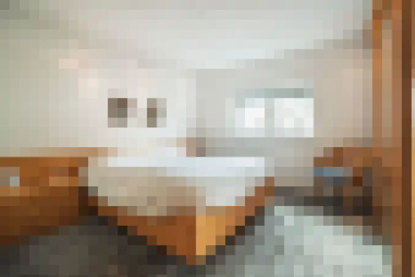 Kerkstraat 21 Renkum thumbnail 15