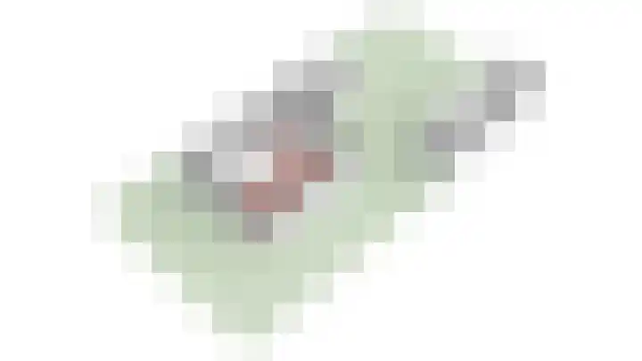 Kerkstraat 21 Renkum thumbnail 38