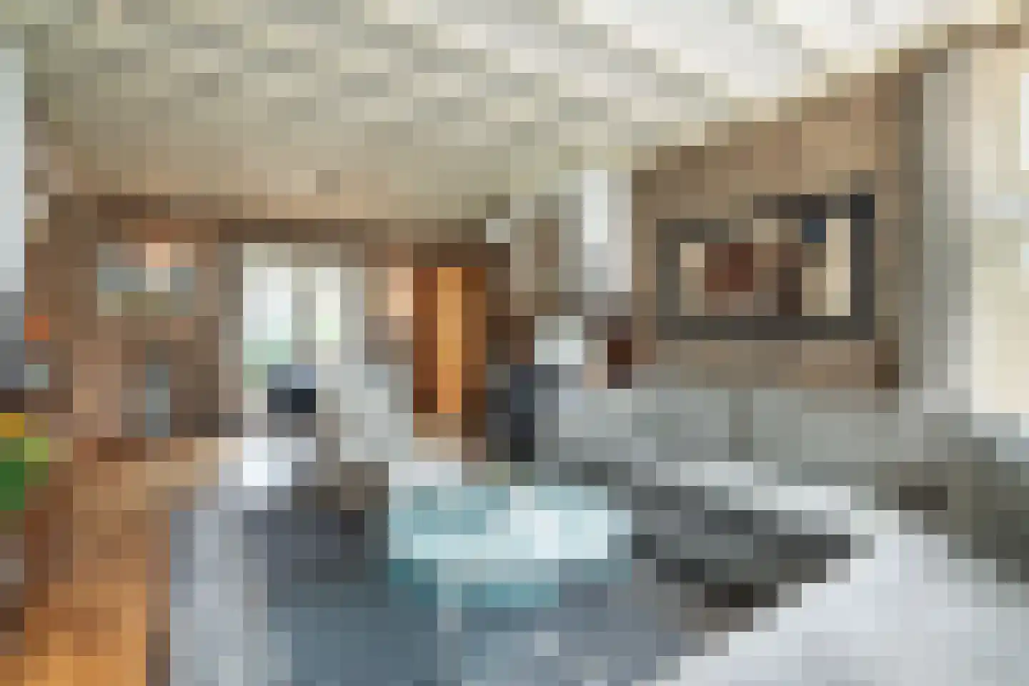 Kerkstraat 21 Renkum thumbnail 6