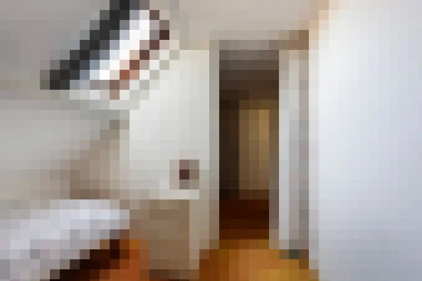 Kerkstraat 21 Voorst thumbnail 34