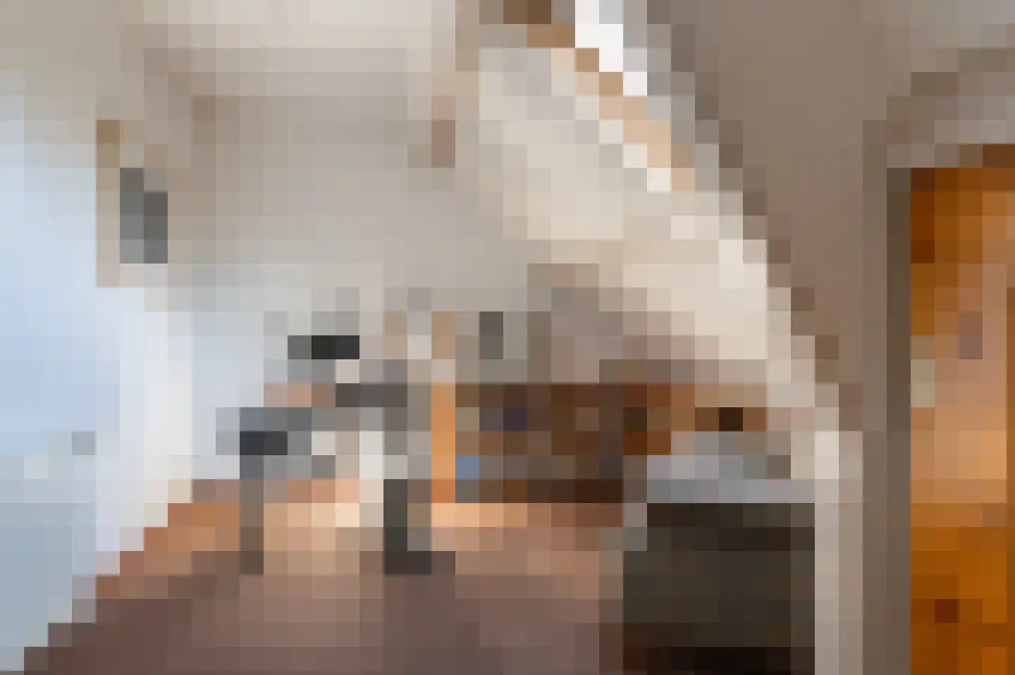 Kerkstraat 21 Voorst thumbnail 40