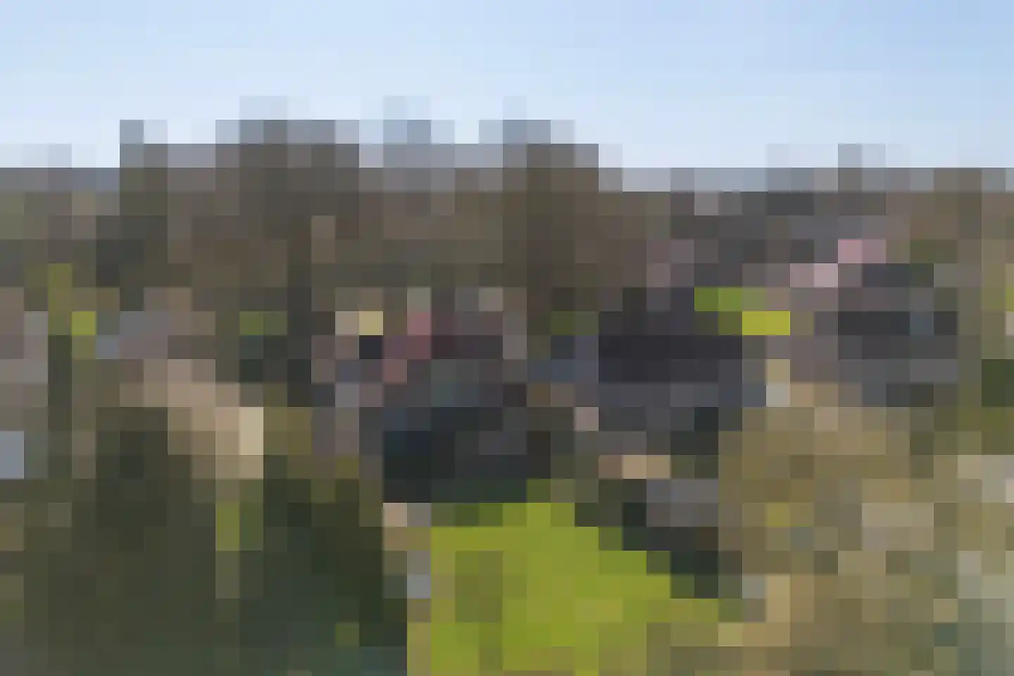 Kerkstraat 21 Voorst thumbnail 48