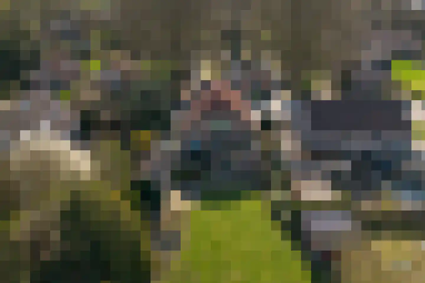 Kerkstraat 21 Voorst thumbnail 49