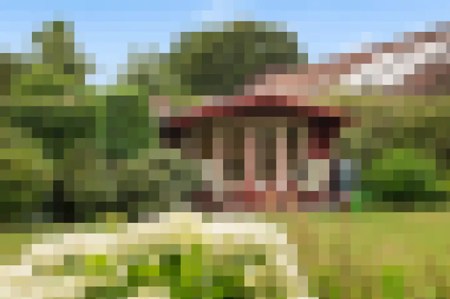 Kerkstraat 21 Voorst thumbnail 49