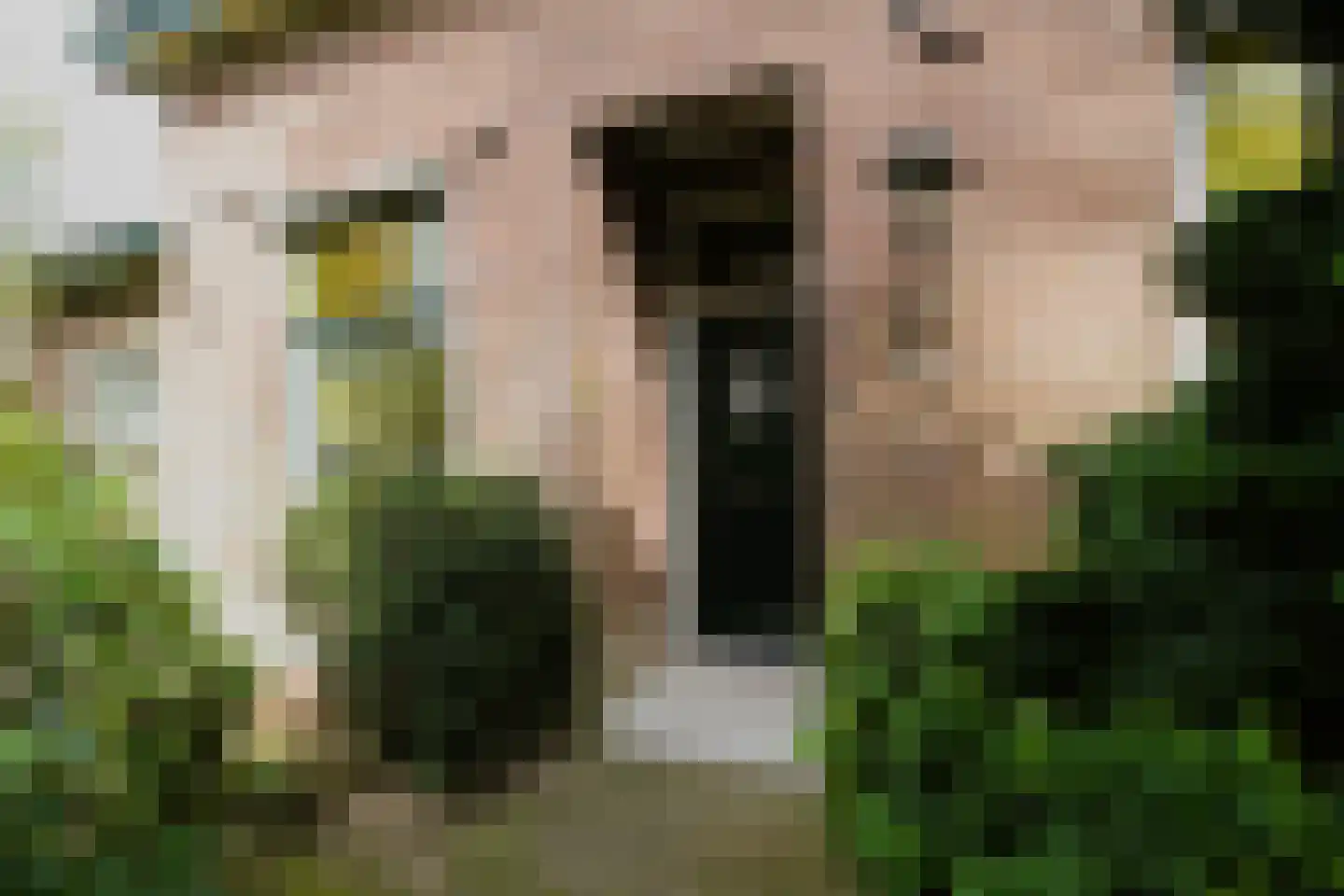 Kerkstraat 21 Voorst thumbnail 5