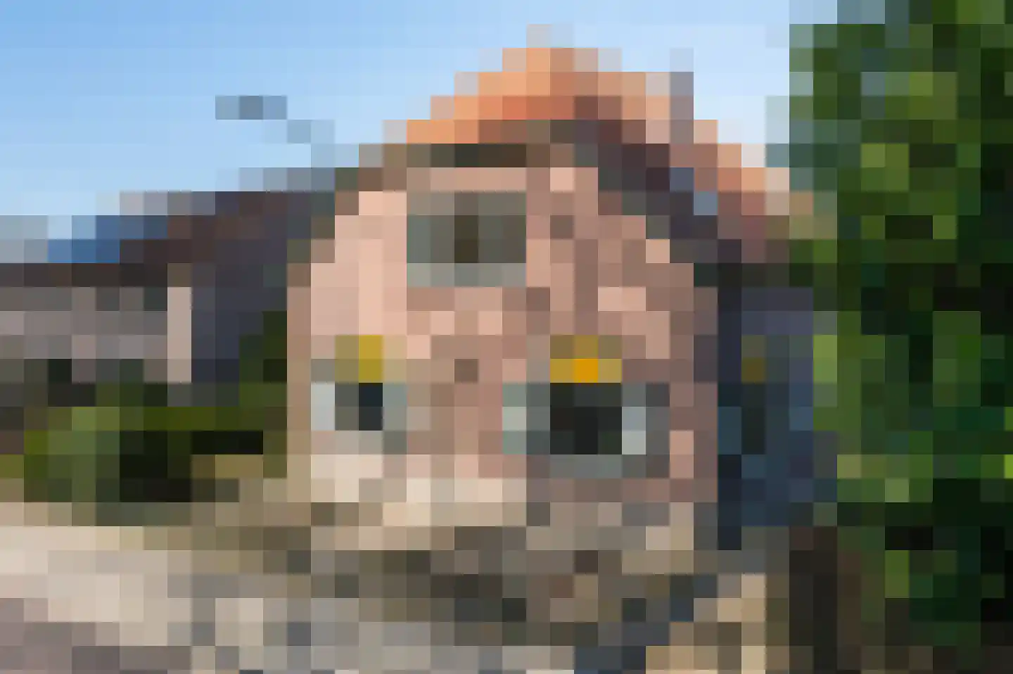Kerkstraat 21 Voorst thumbnail 54