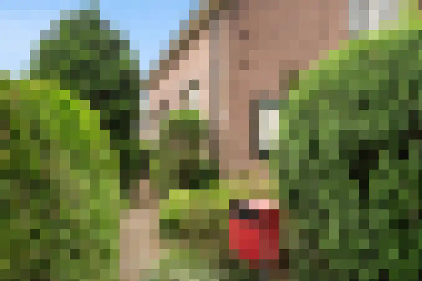 Kerkstraat 21 Voorst thumbnail 56