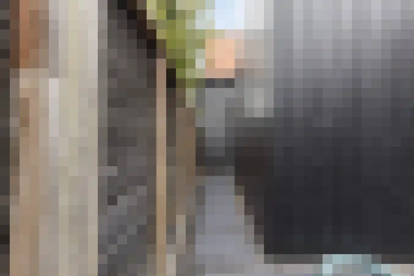 Kerkstraat 21 Zuidland thumbnail 18