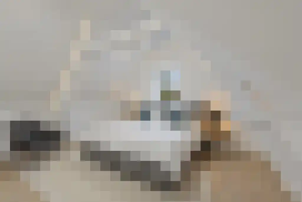 Kerkstraat 21 Zuidland thumbnail 24