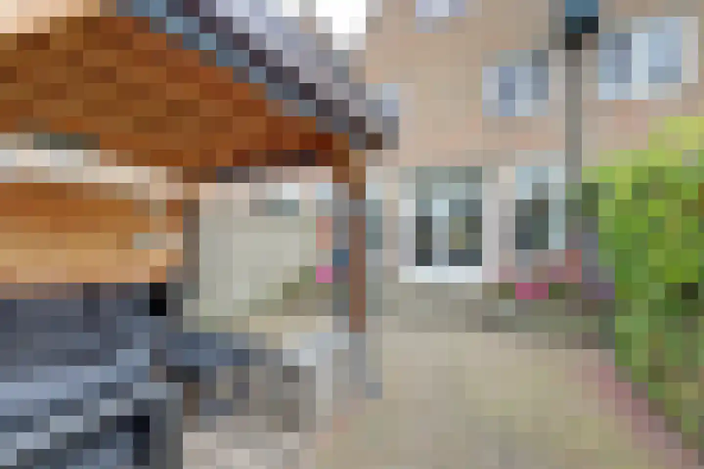 Kerkstraat 21 Zwijndrecht thumbnail 4