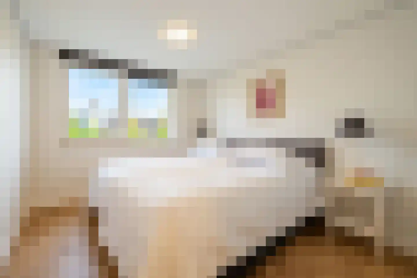 Kerkstraat 214 Amsterdam thumbnail 15