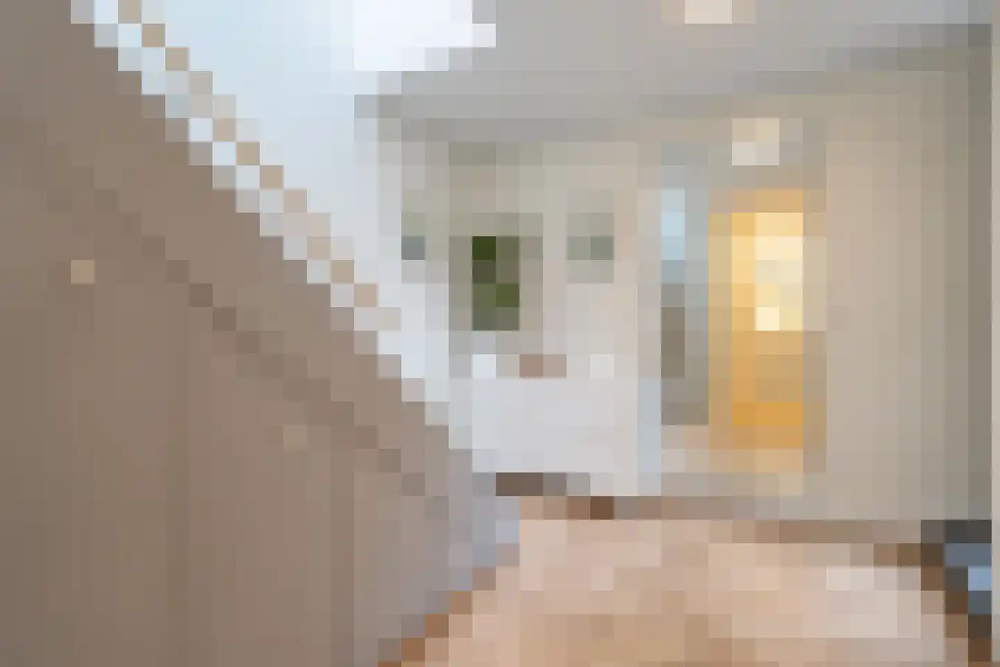 Kerkstraat 214 Amsterdam thumbnail 26
