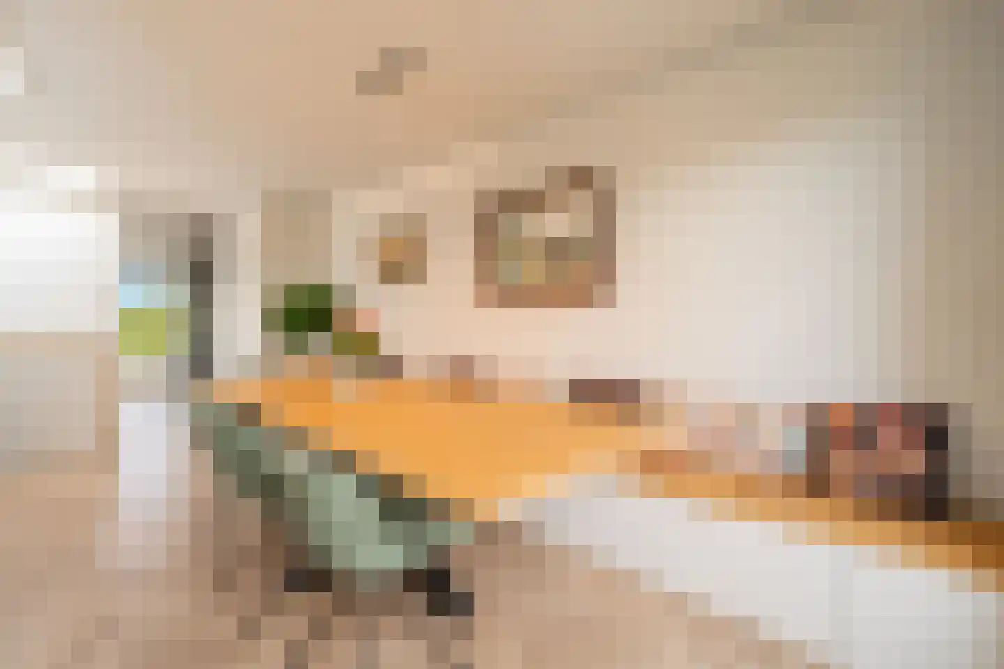 Kerkstraat 214 Amsterdam thumbnail 28
