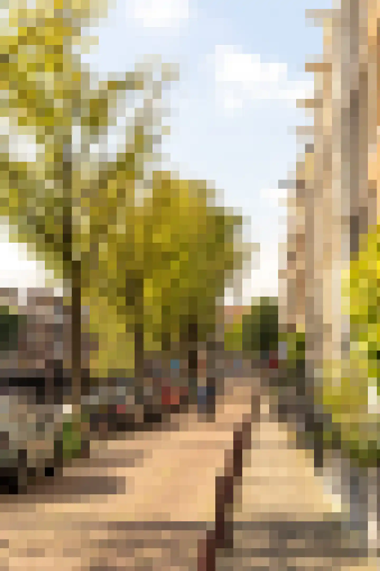 Kerkstraat 214 Amsterdam thumbnail 47