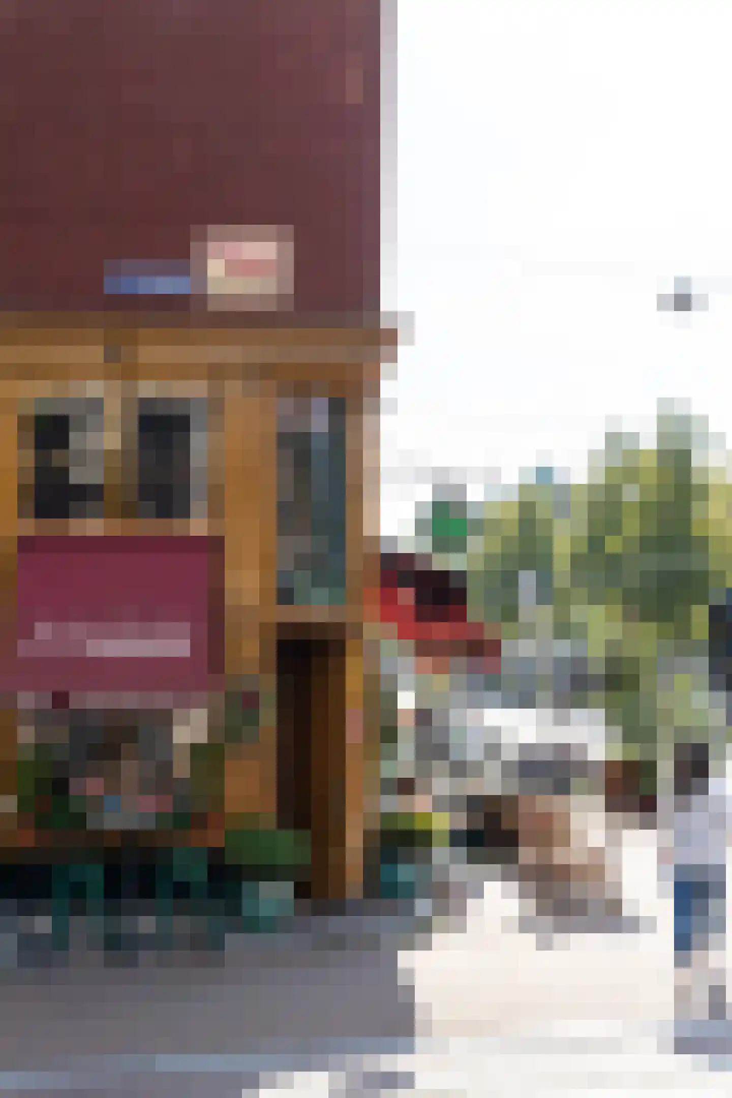 Kerkstraat 214 Amsterdam thumbnail 49
