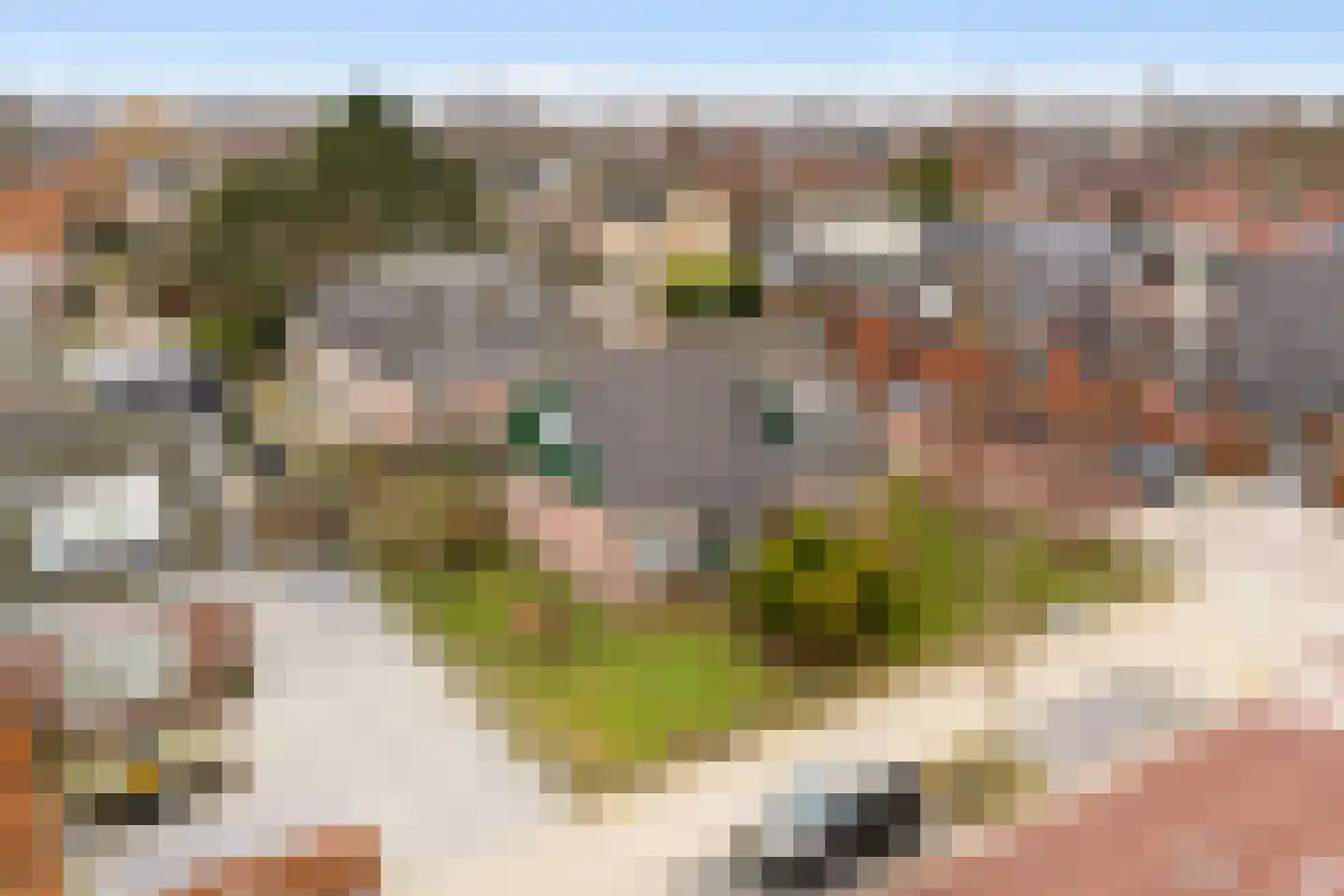 Kerkstraat 215 Oostzaan thumbnail 34