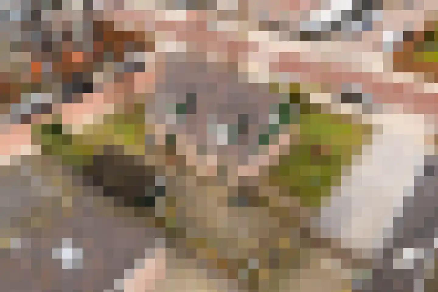Kerkstraat 215 Oostzaan thumbnail 35