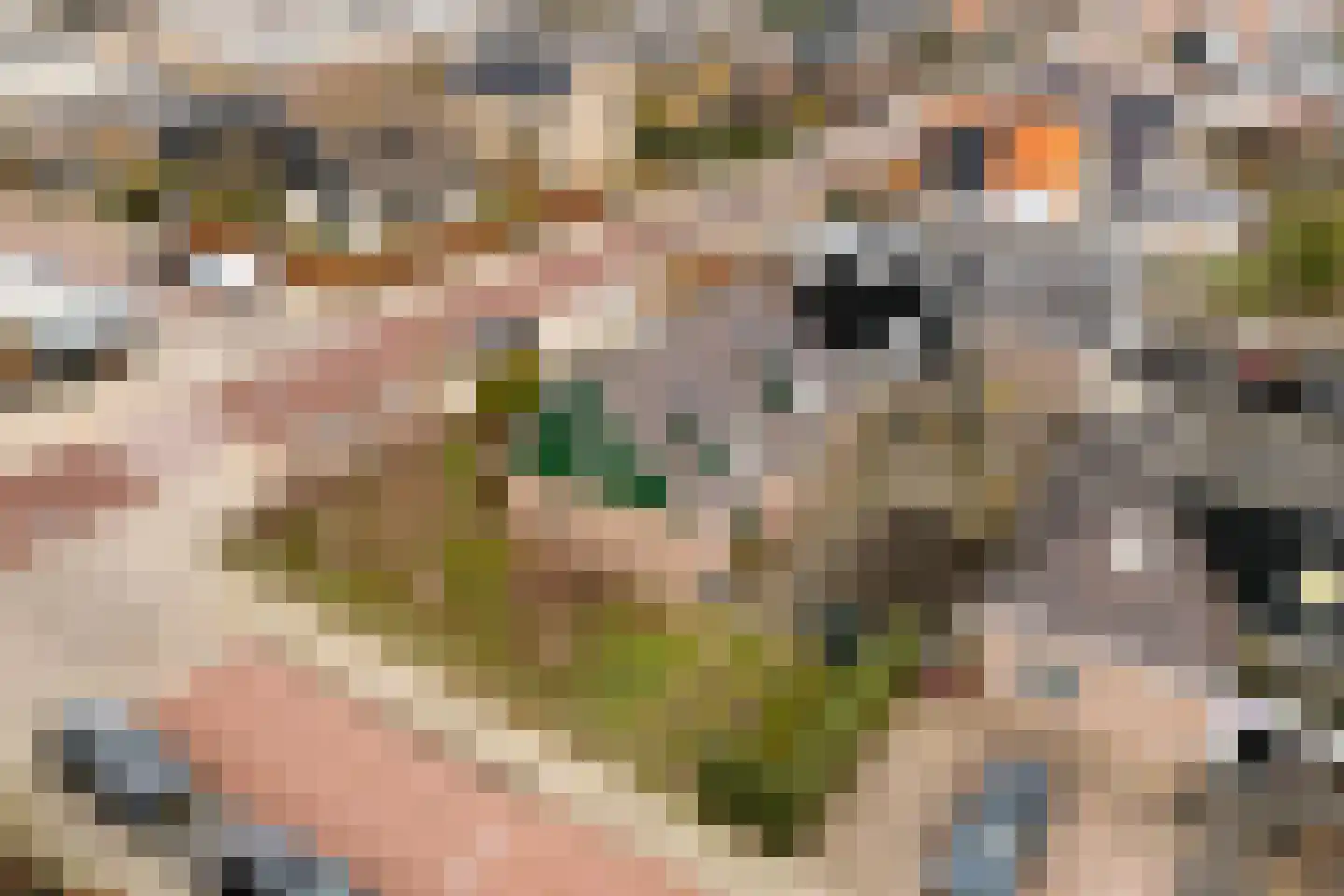 Kerkstraat 215 Oostzaan thumbnail 36