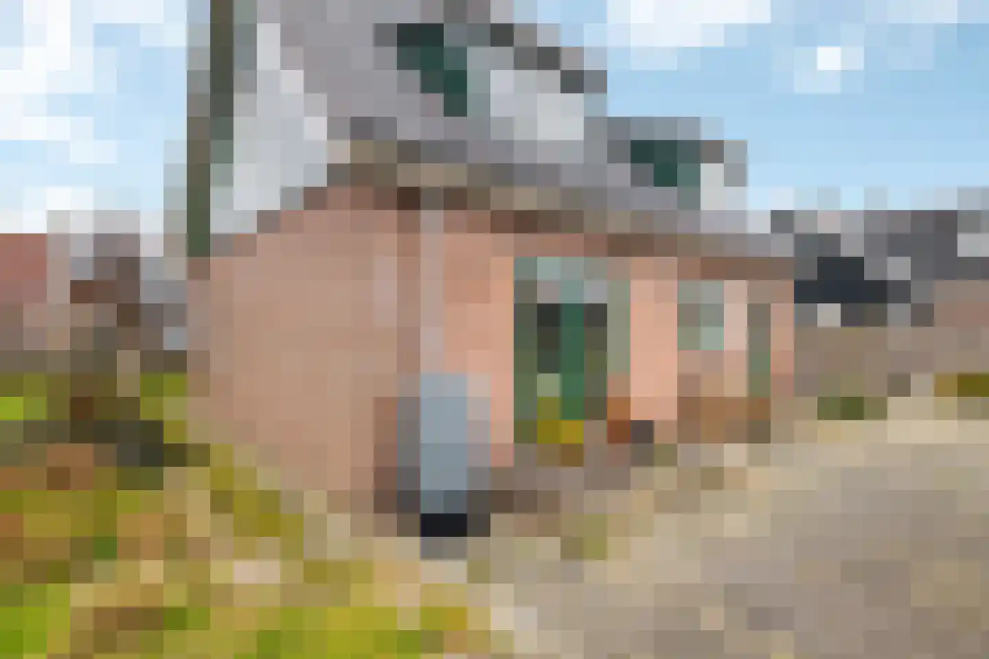 Kerkstraat 215 Oostzaan thumbnail 40