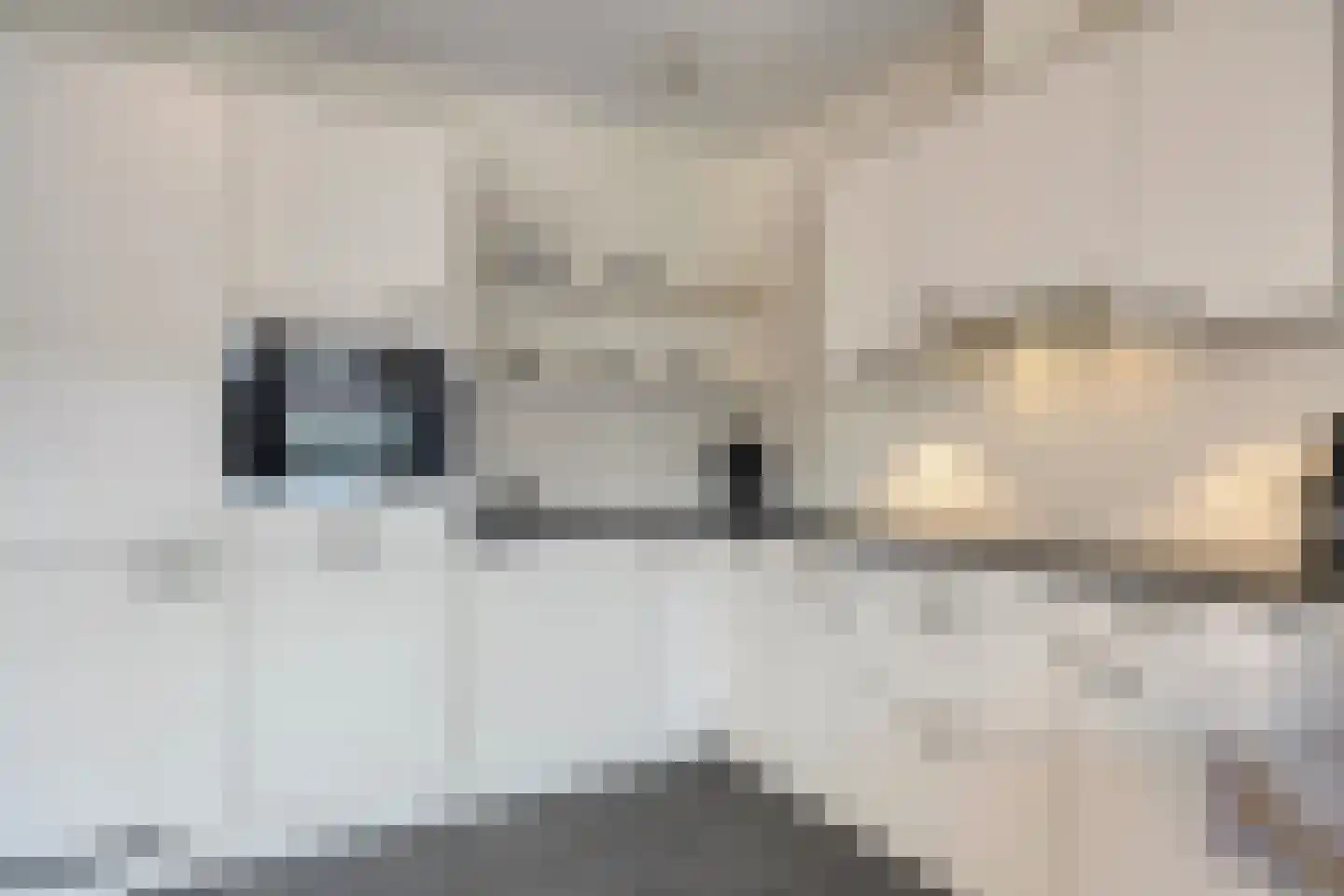 Kerkstraat 22 a Deurne thumbnail 19