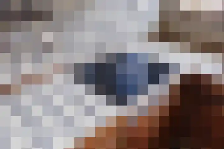 Kerkstraat 22 A Middelstum thumbnail 16