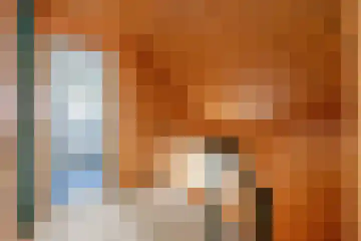 Kerkstraat 22 A Middelstum thumbnail 22