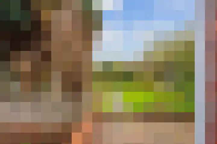 Kerkstraat 22 A Middelstum thumbnail 36