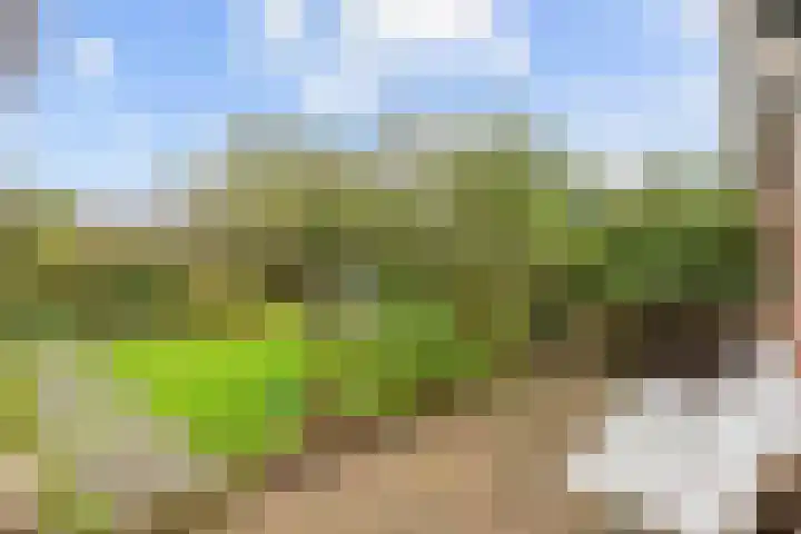 Kerkstraat 22 A Middelstum thumbnail 37