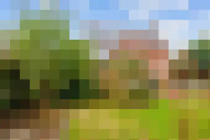 Kerkstraat 22 A Middelstum thumbnail 40
