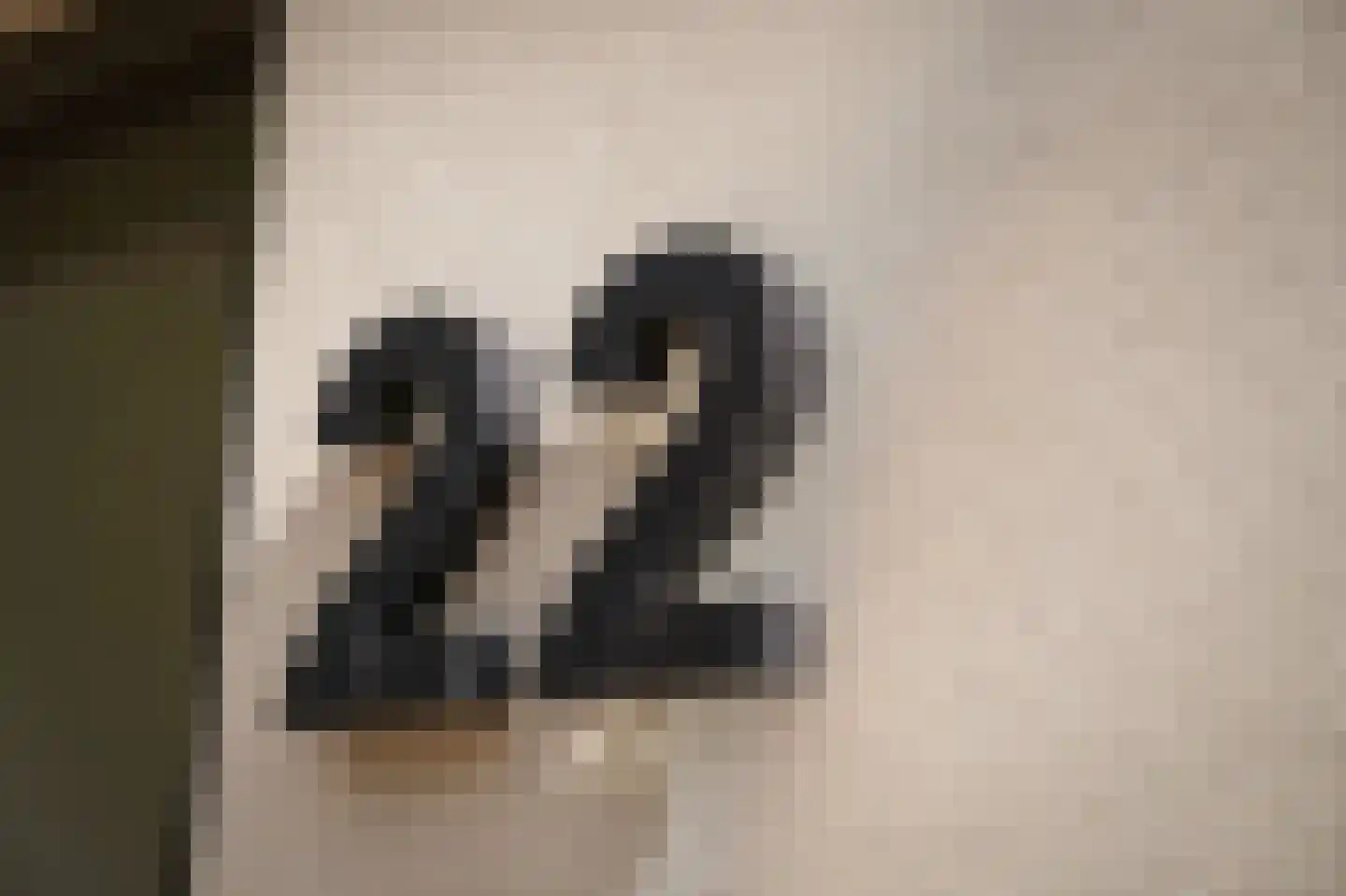 Kerkstraat 22 Altforst thumbnail 35